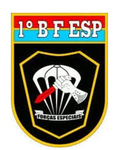 [BFESP] -BATALHÃO DE FORÇAS ESPECIAIS