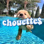 CHOUETTE$
