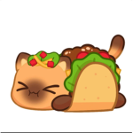 The Taco Kitty Nation