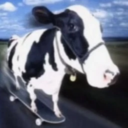 CoW S Steeple icon
