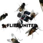 Flys united!!!!!!