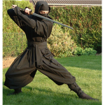 ninjas of darknes