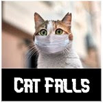 Cat Falls