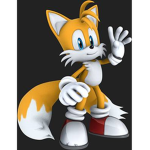 Tails the fox fans