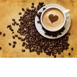 Mócha Cafe || ##