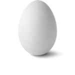 Brown and white egg