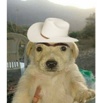 el murder xde