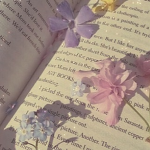 • ᴄᴜᴛɪᴇ sǫᴜᴀᴅ •