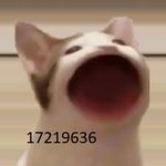 ZAAA WARUDOOO