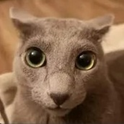 Get mauled to death by ploobie in an evil desertsd