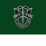 Army Special Forces ‌ ‌ ‌