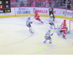 Detroit redwings fans