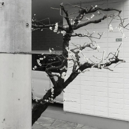 ゛