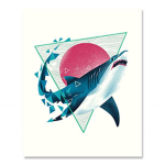 Shark Attack Studios