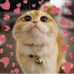 Mckynna_mhm's fan group!