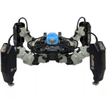 Robotic Mayhem