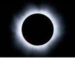 Black Sun Line