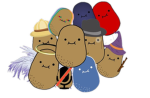 Find the potatoes Studio
