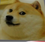 Doge love!