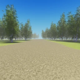 Calm Forest icon