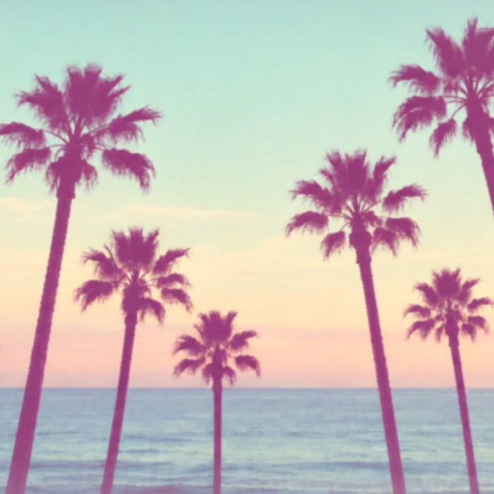 2k14-2k16 era Aesthetic Beach Palm Trees