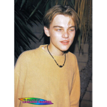 Leonardo DiCaprio Assemblage <3