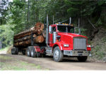 TUFF LOGGING INC