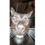 Eggs & Friends!
