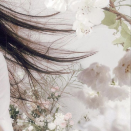 🌸