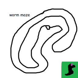 worm on a string maze