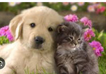 Loving others