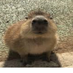 Bellastan