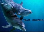 TEAM DOLPHIN!