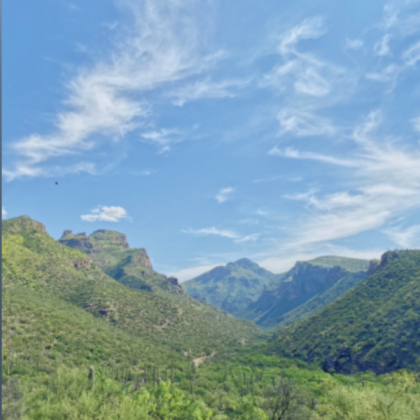 pretty mountain landscape Roblox decal