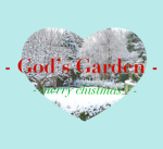 - God’s Garden -