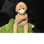 Monkey like that Banana