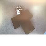 Roblox Fan Place!