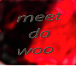 (wooo members)