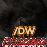 /:DW