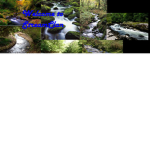 Warrior cats StreamClan