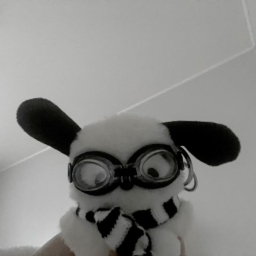 ‧˚🖇️