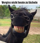 Die Komischen Roblox gamer