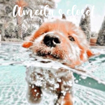 Aᴍᴇɪʟᴀ’s Cʟᴏsᴇᴛ