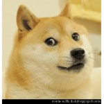 DogeIsDank