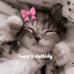 Leoo's clothing