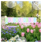 -RXCHCHASHLEY-