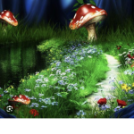 Sweet Mushroomš