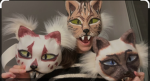 Local_therians group