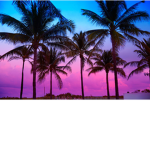 Sunshine Sunset Community