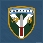 Compañía de Comandos 601